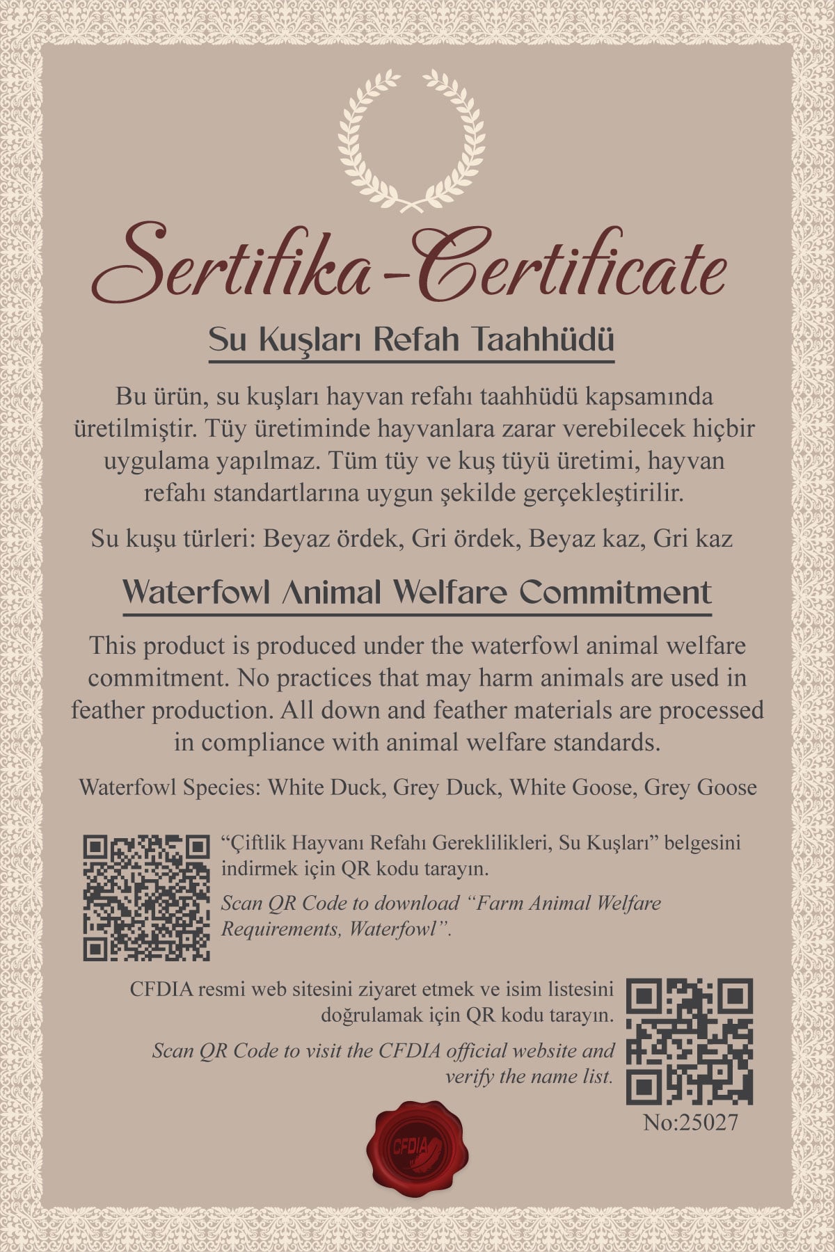 Kapüşonlu Kaz Tüyü Şişme Mont, Tesettür Giyim